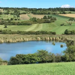 Mattersburg Vineyard Trails - Mattersburg