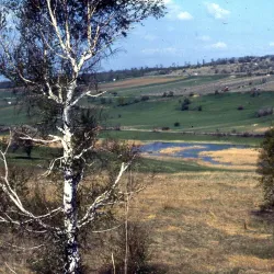 Mattersburg Vineyard Trails - Mattersburg