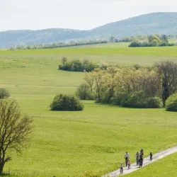 Mattersburg Vineyard Trails - Mattersburg