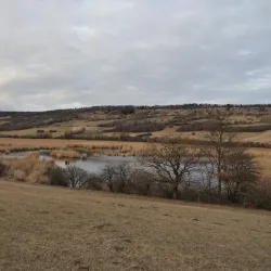 Mattersburg Vineyard Trails - Mattersburg