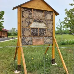 Mattersburg Vineyard Trails - Mattersburg