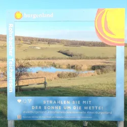 Mattersburg Vineyard Trails - Mattersburg