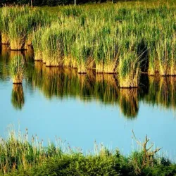 Mattersburg Vineyard Trails - Mattersburg