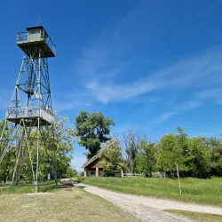 Neusiedler See-Seewinkel National Park (near Mattersburg) - Mattersburg
