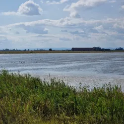 Neusiedler See-Seewinkel National Park (near Mattersburg) - Mattersburg