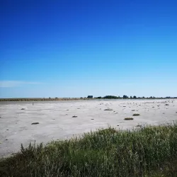 Neusiedler See-Seewinkel National Park (near Mattersburg) - Mattersburg