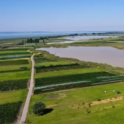 Neusiedler See-Seewinkel National Park (near Mattersburg) - Mattersburg