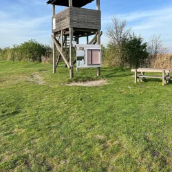 Neusiedler See-Seewinkel National Park (near Mattersburg) - Mattersburg