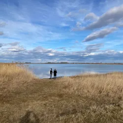 Neusiedler See-Seewinkel National Park (near Mattersburg) - Mattersburg