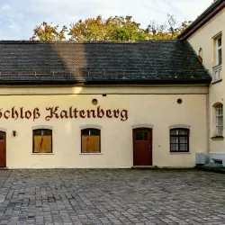 Kaltenberg Castle (Burg Kaltenberg) - Mattighofen