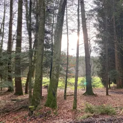 Mattighofen Nature Trails - Mattighofen