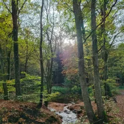 Mattighofen Nature Trails - Mattighofen