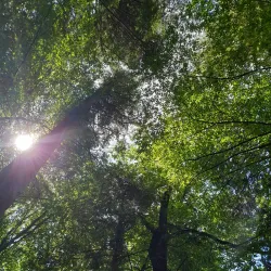 Mattighofen Nature Trails - Mattighofen