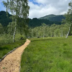 Hiking Trails around Mittersill - Mittersill