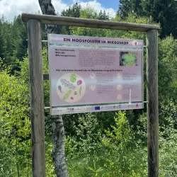 Hiking Trails around Mittersill - Mittersill