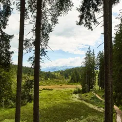 Hiking Trails around Mittersill - Mittersill