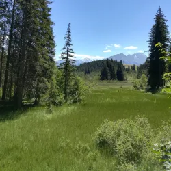 Hiking Trails around Mittersill - Mittersill