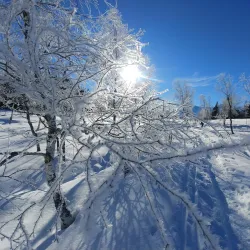 Hiking Trails around Mittersill - Mittersill