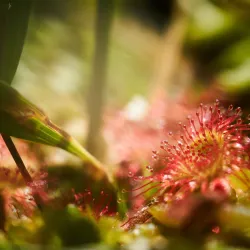 Hiking Trails around Mittersill - Mittersill