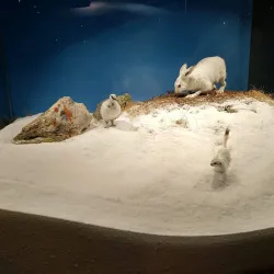 Hohe Tauern National Park - Mittersill