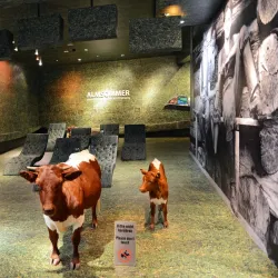 Hohe Tauern National Park - Mittersill