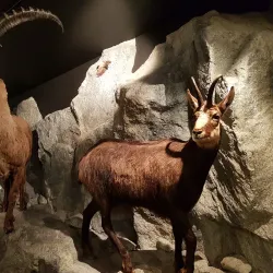 Hohe Tauern National Park - Mittersill