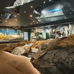 Hohe Tauern National Park - Mittersill