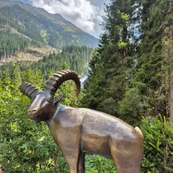 Krimml Waterfalls - Mittersill