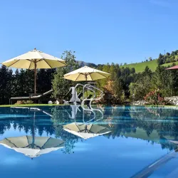 Mittersill Castle (Schloss Mittersill) - Mittersill