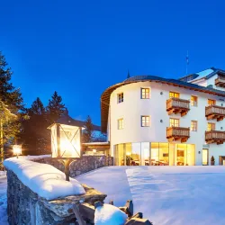 Mittersill Castle (Schloss Mittersill) - Mittersill