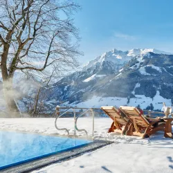 Mittersill Castle (Schloss Mittersill) - Mittersill