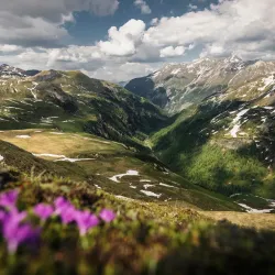 National Park Center Mittersill - Mittersill