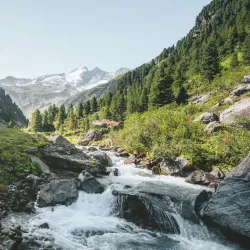 National Park Center Mittersill - Mittersill