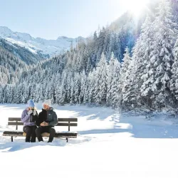 National Park Center Mittersill - Mittersill