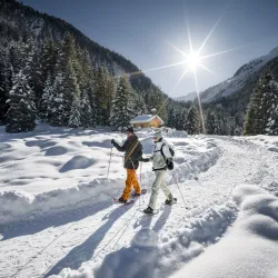 National Park Center Mittersill - Mittersill