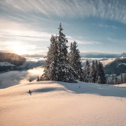 National Park Center Mittersill - Mittersill