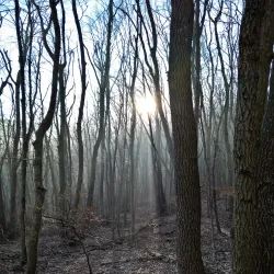 Anninger Mountain - Modling