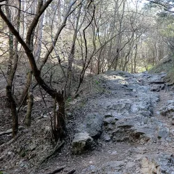 Anninger Mountain - Modling