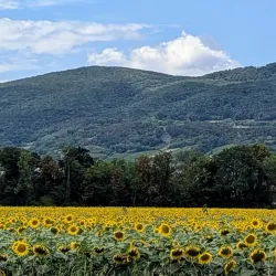 Anninger Mountain - Modling