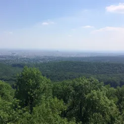 Hermannskogel - Modling