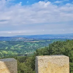 Hermannskogel - Modling