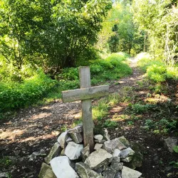 Hermannskogel - Modling