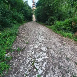 Hermannskogel - Modling