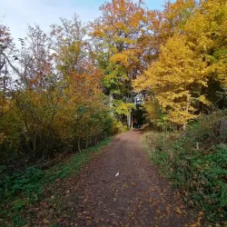 Hermannskogel - Modling