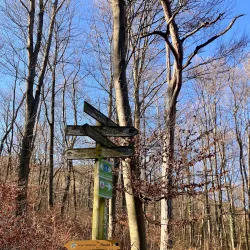Klausen-Leopoldsdorf Nature Reserve - Modling