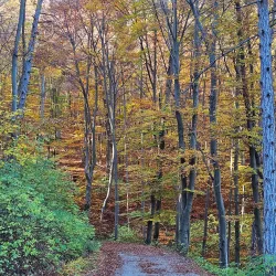 Klausen-Leopoldsdorf Nature Reserve - Modling