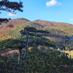 Klausen-Leopoldsdorf Nature Reserve - Modling