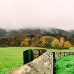 Klausen-Leopoldsdorf Nature Reserve - Modling