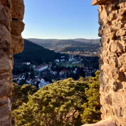Klausen-Leopoldsdorf Nature Reserve - Modling