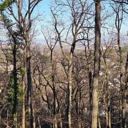 Klausen-Leopoldsdorf Nature Reserve - Modling